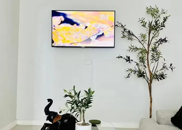 Olive Breeze Apartment